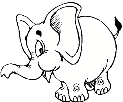 elefante